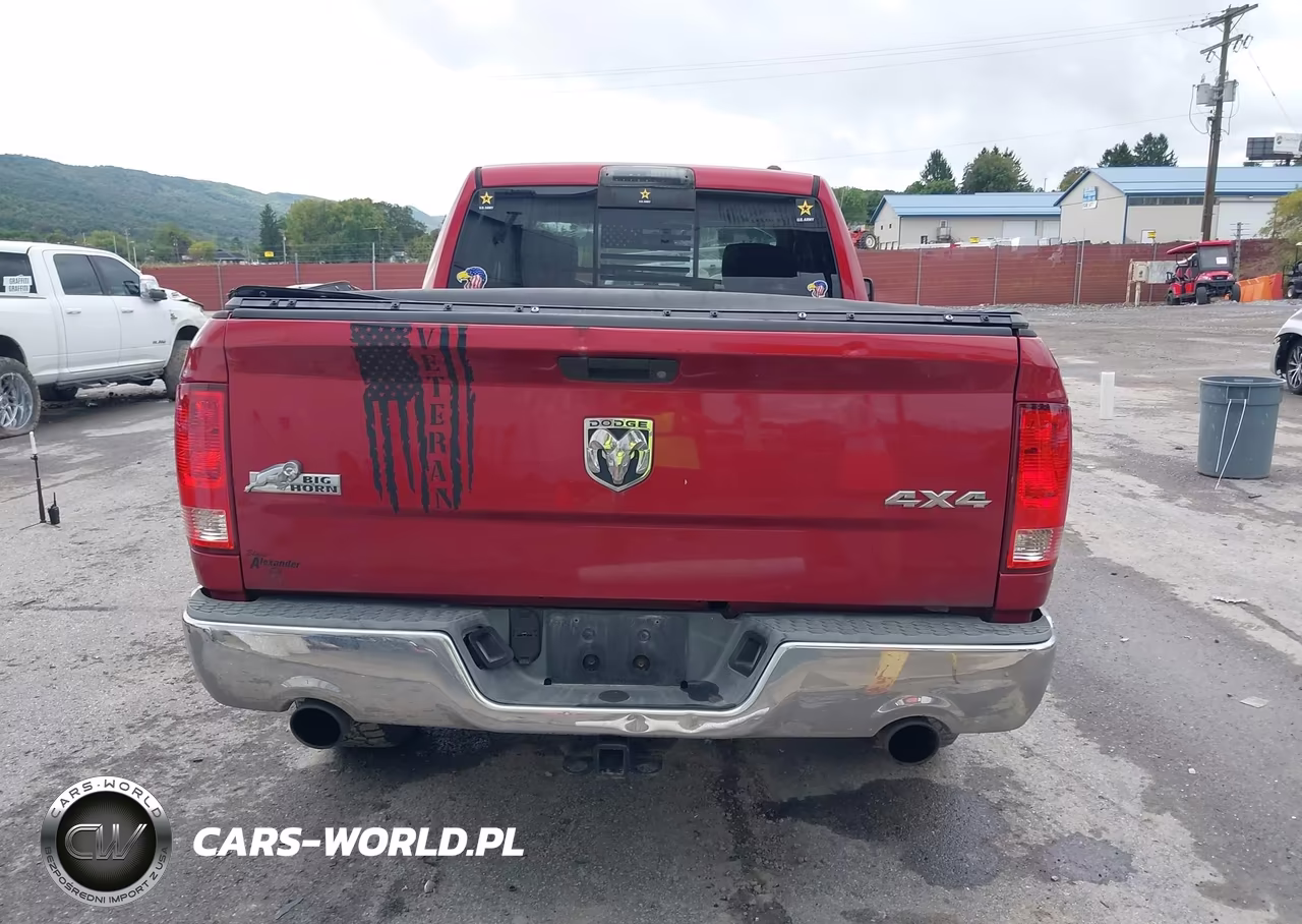 2010 Dodge Ram 1500 Slt-Sport-Trx VIN:1D7RV1GT9AS188270 - 16
