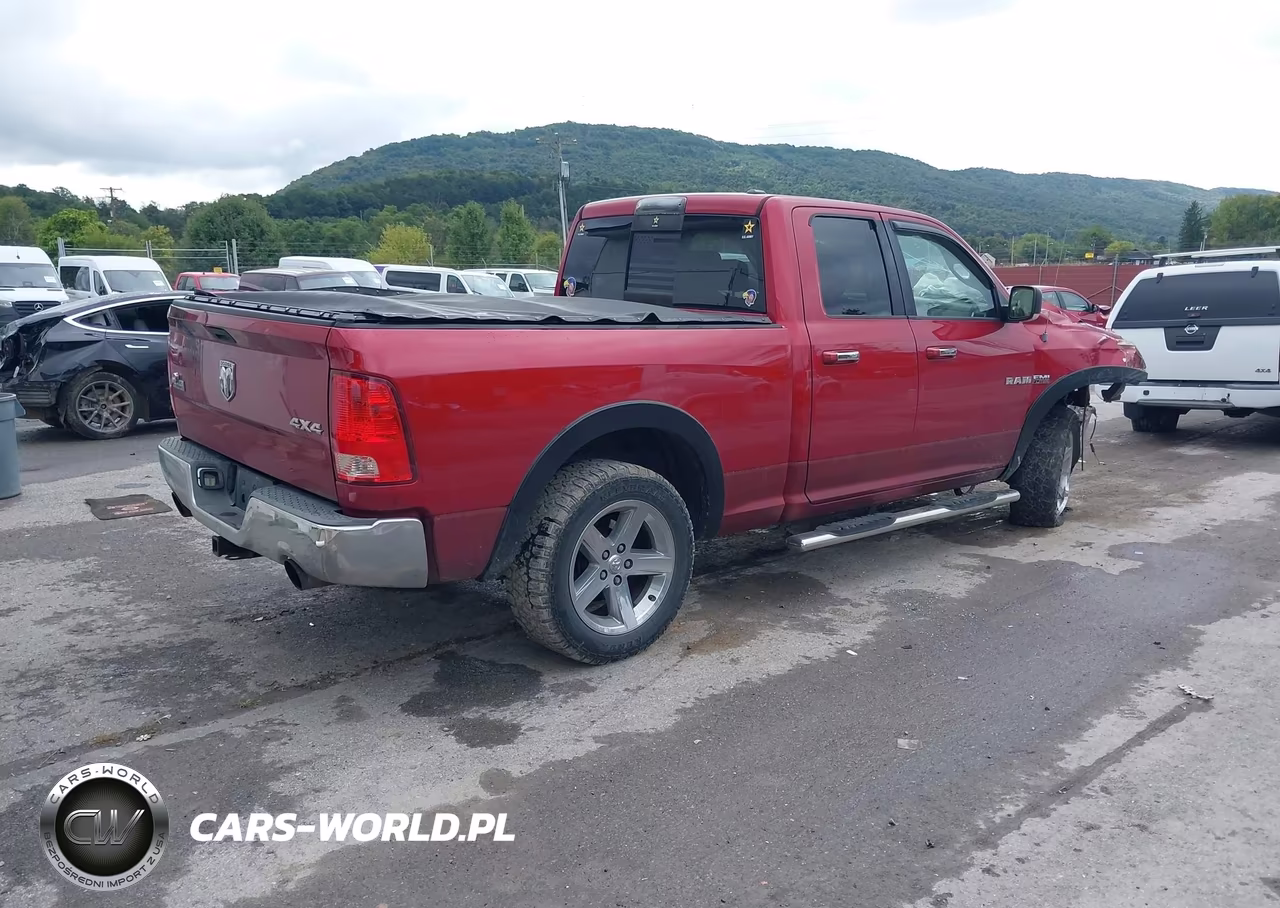 2010 Dodge Ram 1500 Slt-Sport-Trx VIN:1D7RV1GT9AS188270 - 4