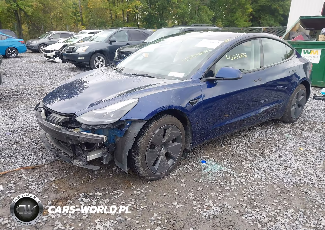 2023 Tesla Model 3 Rear-Wheel Drive VIN:5YJ3E1EA2PF651549 - 2