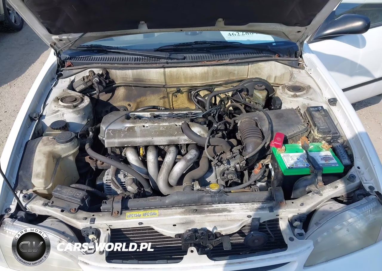 1998 Toyota Corolla Ce VIN:1NXBR12E4WZ082924 - 10