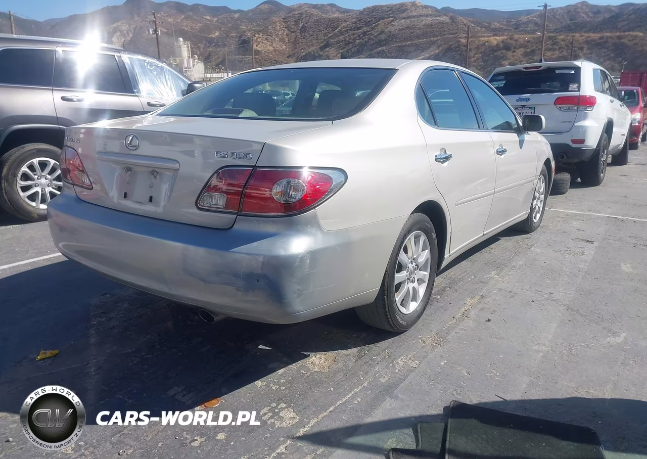 2002 Lexus Es 300 VIN:JTHBF30G025003040 - 4