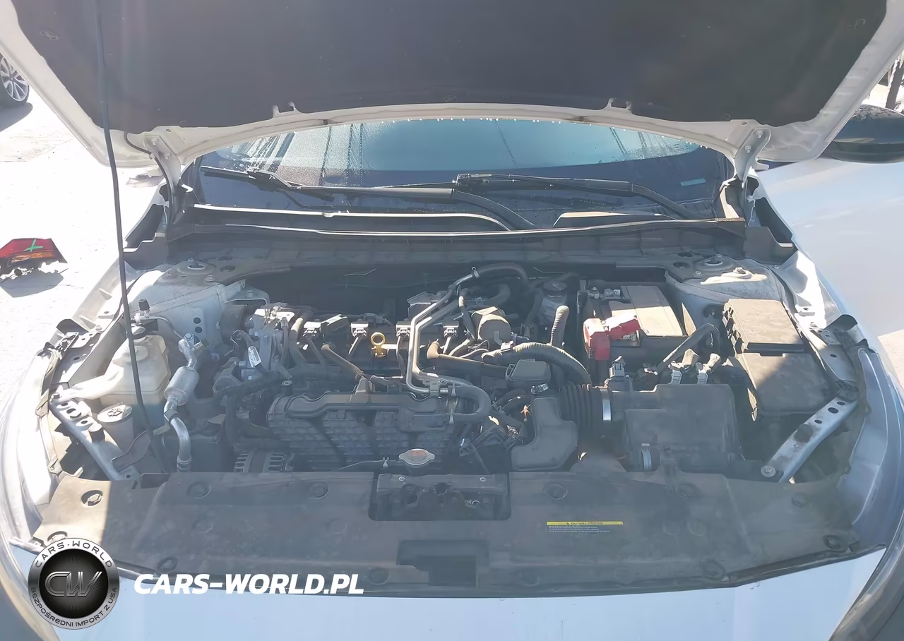 2023 Nissan Altima Sr Intelligent Awd VIN:1N4BL4CW8PN355573 - 10