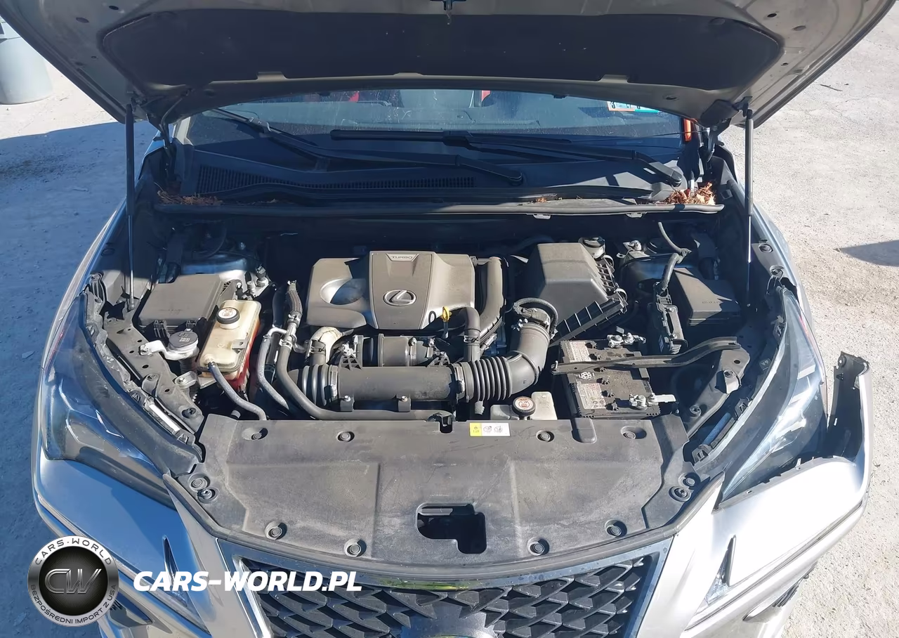 2018 Lexus Nx 300 F Sport VIN:JTJBARBZ8J2173936 - 10