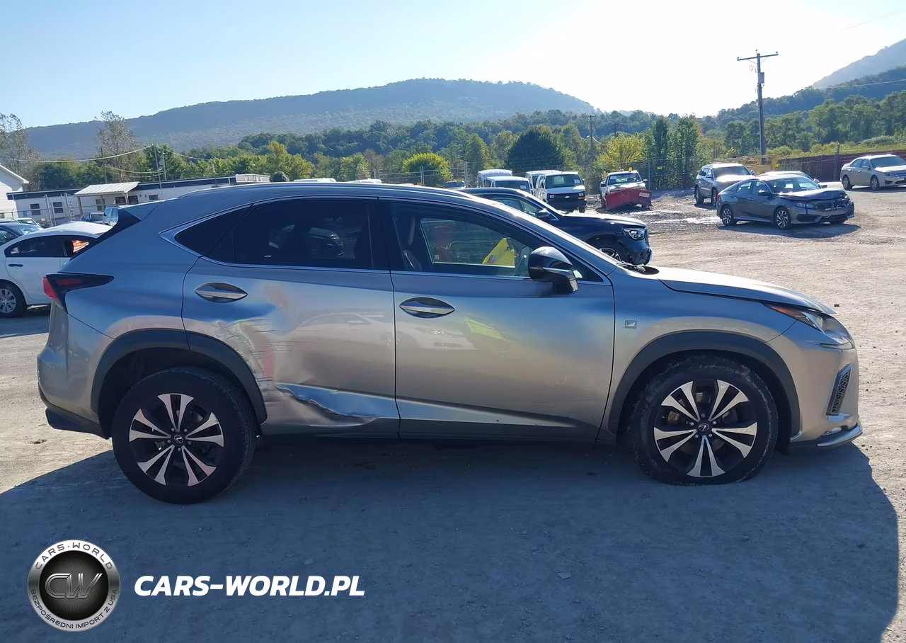 2018 Lexus Nx 300 F Sport VIN:JTJBARBZ8J2173936 - 13