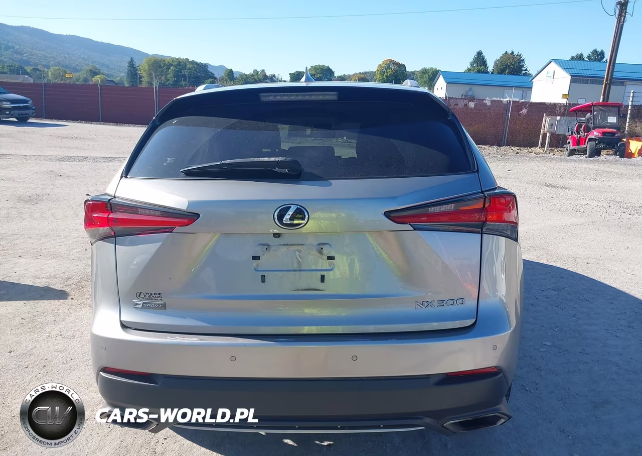 2018 Lexus Nx 300 F Sport VIN:JTJBARBZ8J2173936 - 16