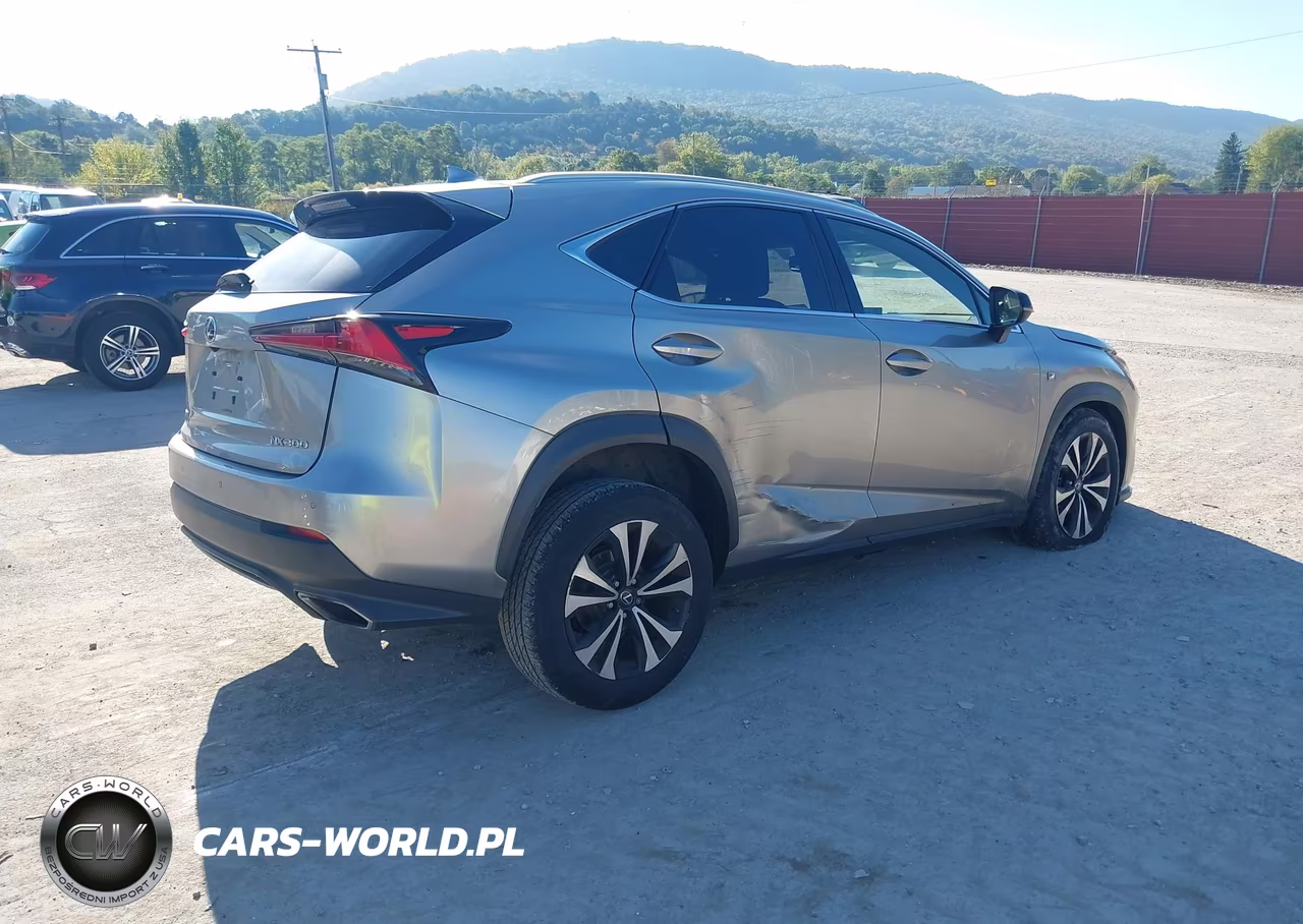 2018 Lexus Nx 300 F Sport VIN:JTJBARBZ8J2173936 - 4