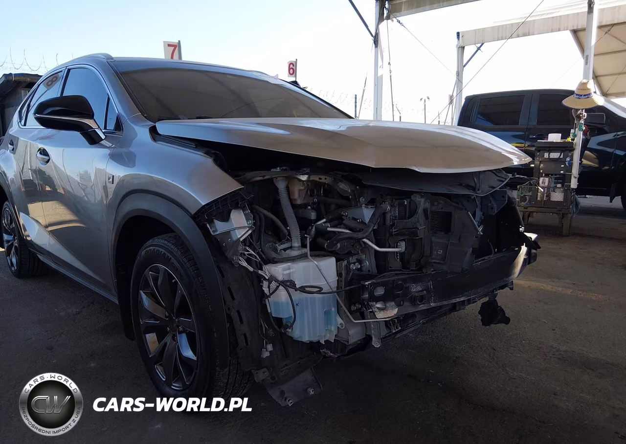 2019 Lexus Nx 300 F Sport VIN:JTJYARBZ9K2116978 - 13