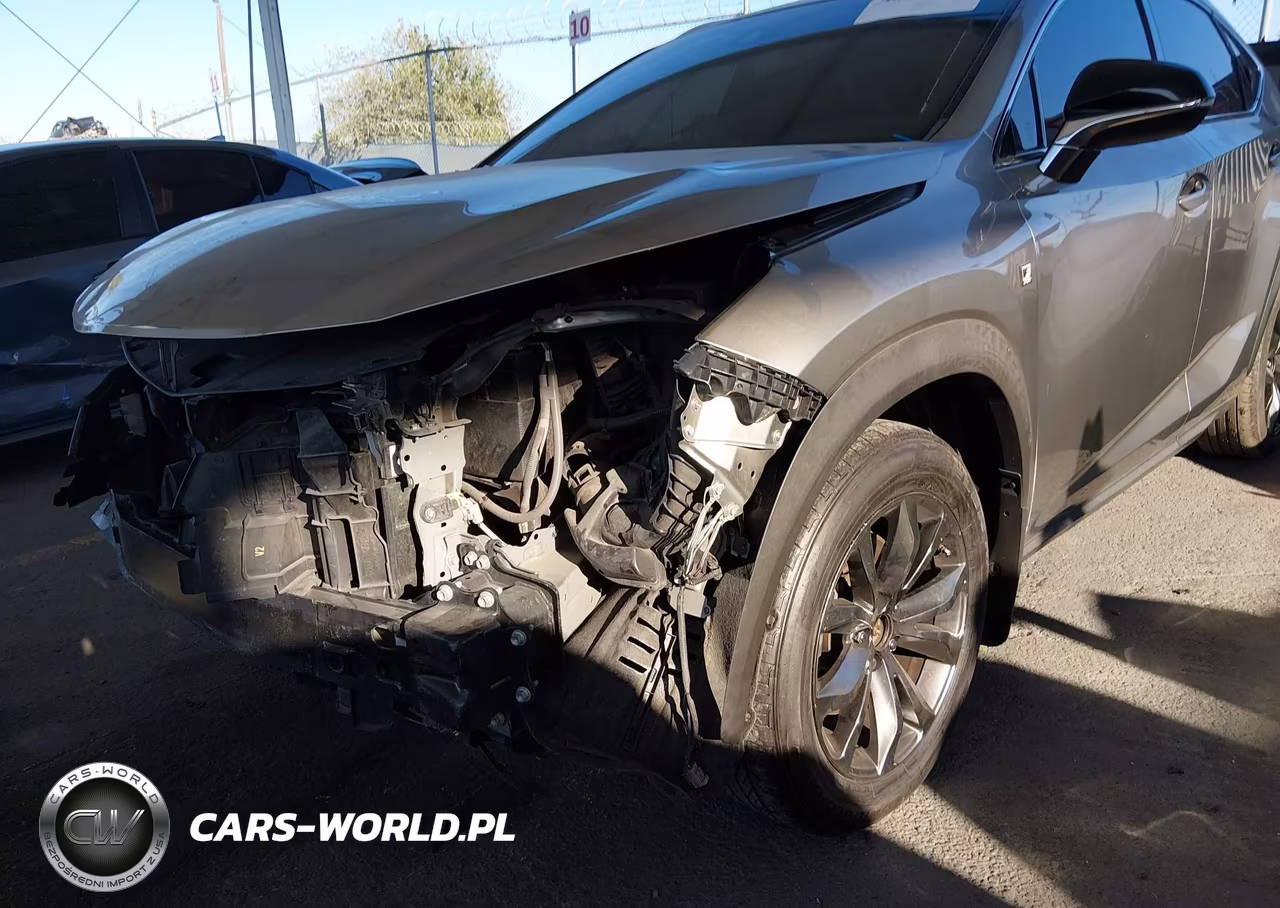 2019 Lexus Nx 300 F Sport VIN:JTJYARBZ9K2116978 - 14
