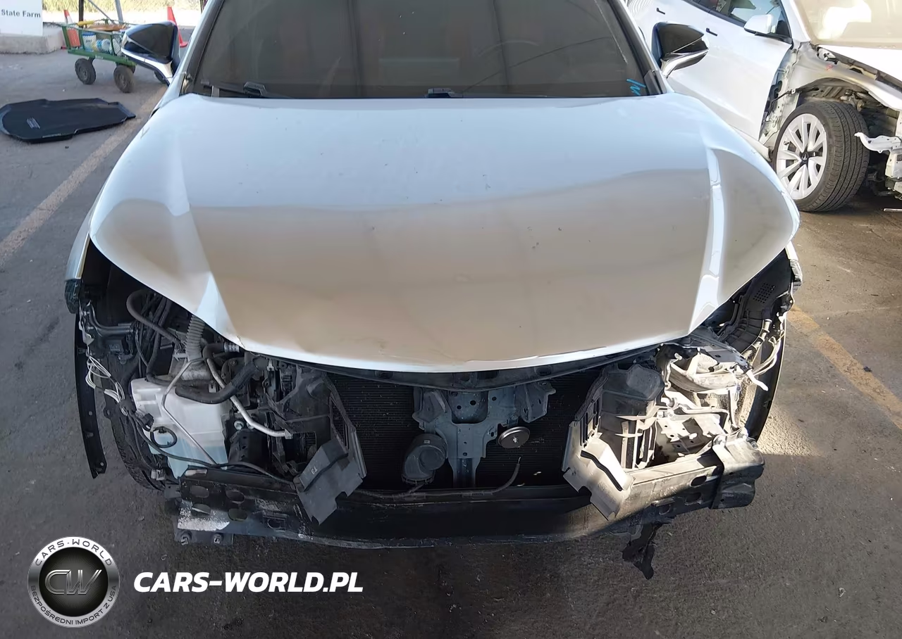 2019 Lexus Nx 300 F Sport VIN:JTJYARBZ9K2116978 - 15