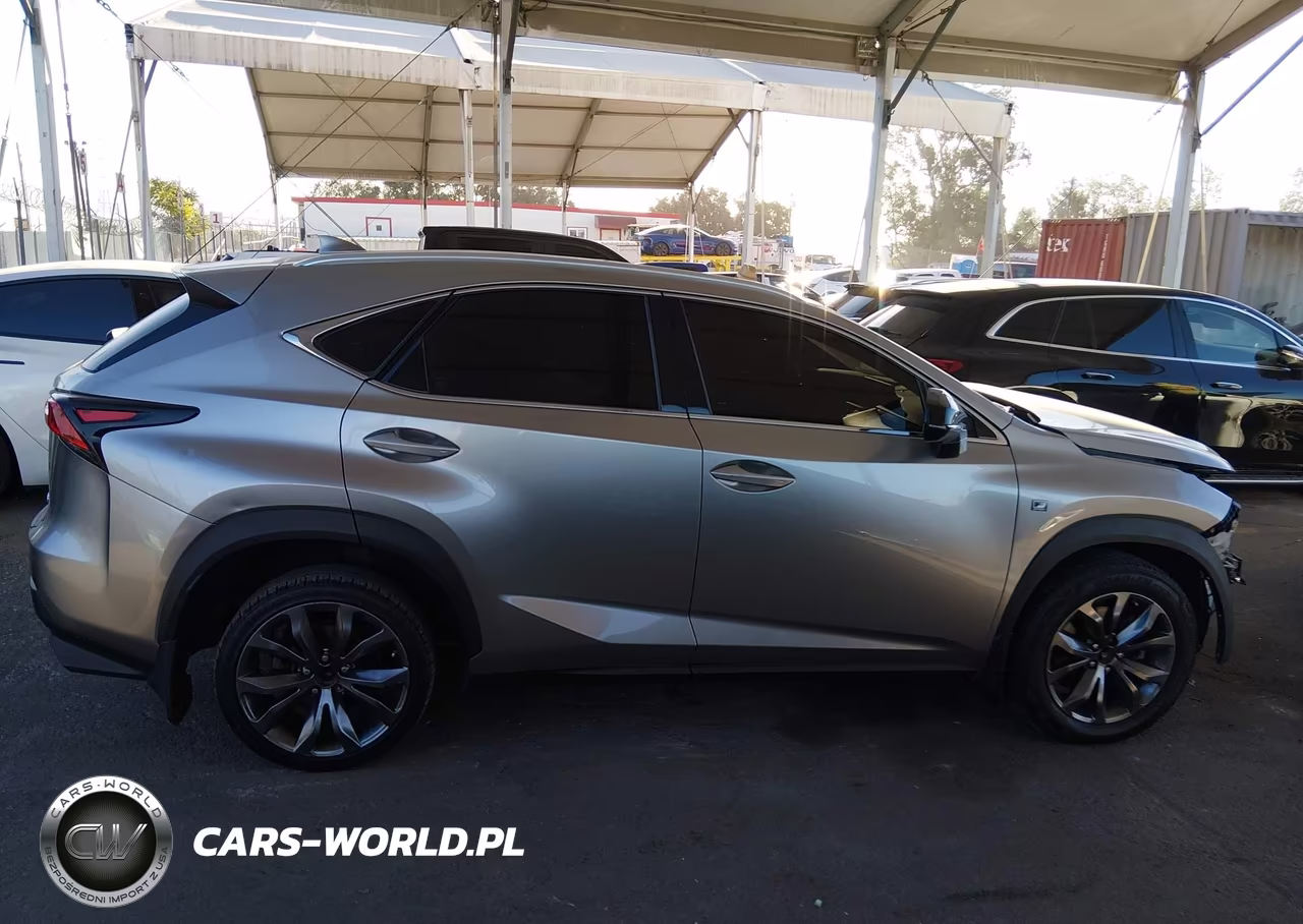 2019 Lexus Nx 300 F Sport VIN:JTJYARBZ9K2116978 - 17