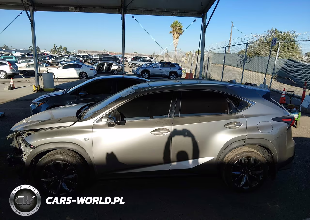 2019 Lexus Nx 300 F Sport VIN:JTJYARBZ9K2116978 - 18