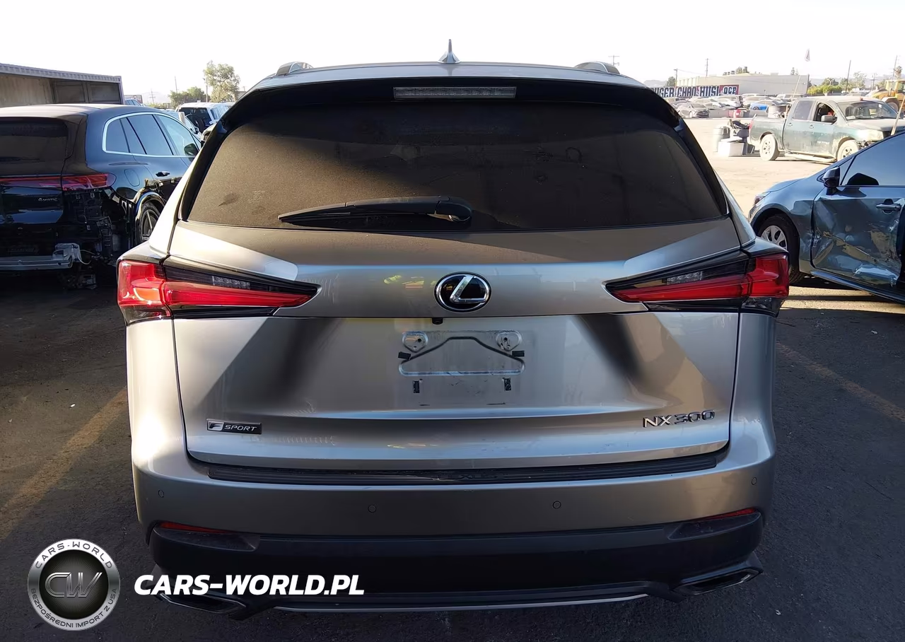 2019 Lexus Nx 300 F Sport VIN:JTJYARBZ9K2116978 - 20