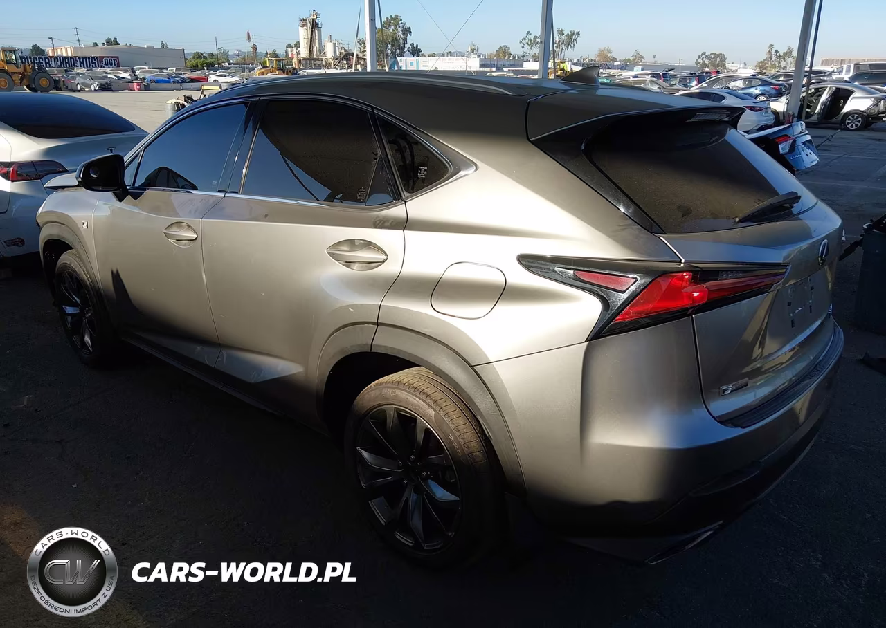 2019 Lexus Nx 300 F Sport VIN:JTJYARBZ9K2116978 - 3