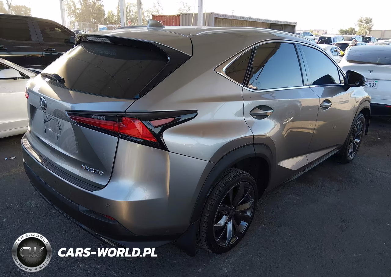 2019 Lexus Nx 300 F Sport VIN:JTJYARBZ9K2116978 - 4