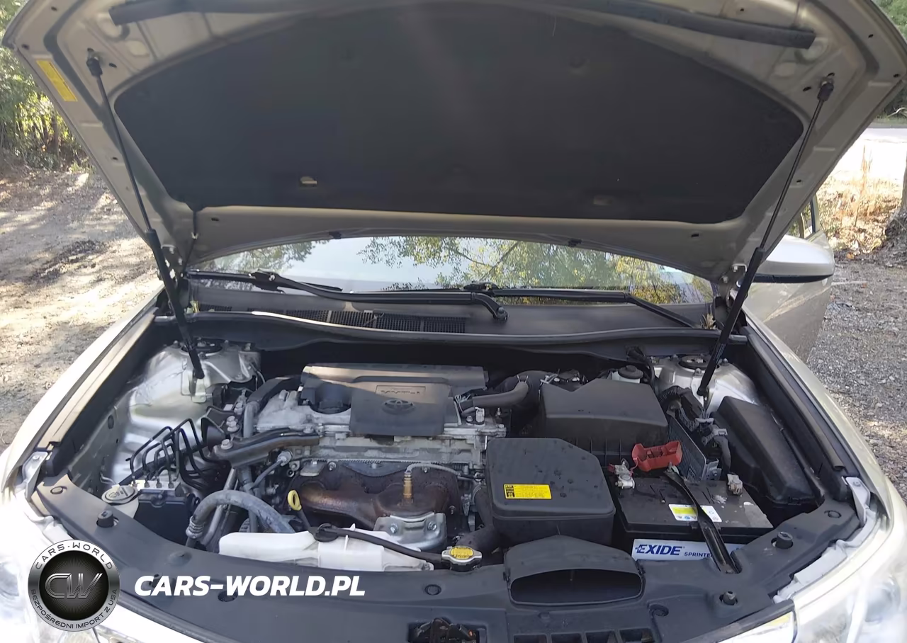 2013 Toyota Camry Le VIN:4T4BF1FK3DR324470 - 10