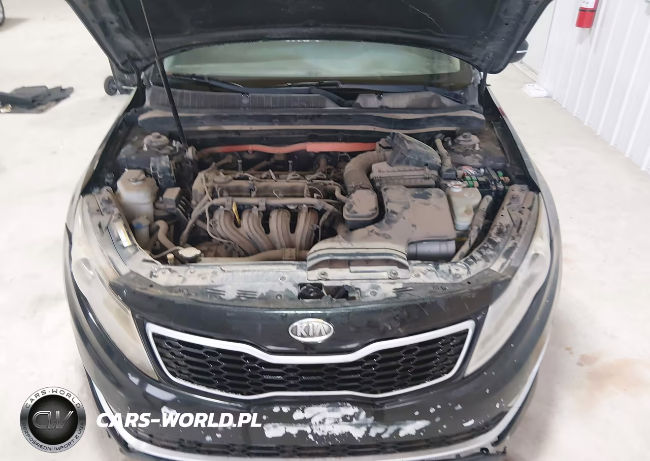 2012 Kia Optima Hybrid Ex VIN:KNAGM4AD3C5009873 - 10