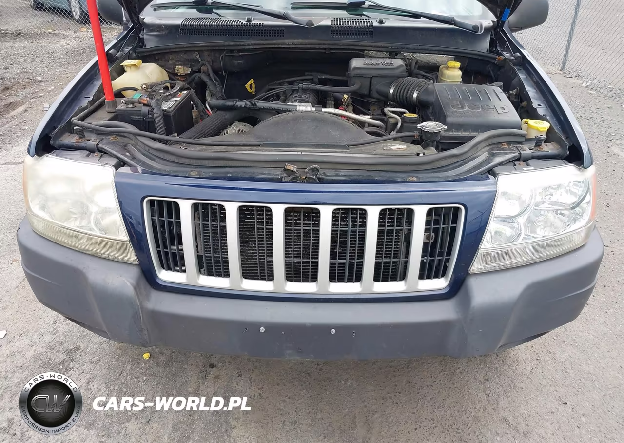 2004 Jeep Grand Cherokee Laredo VIN:1J4GW48S44C364317 - 6