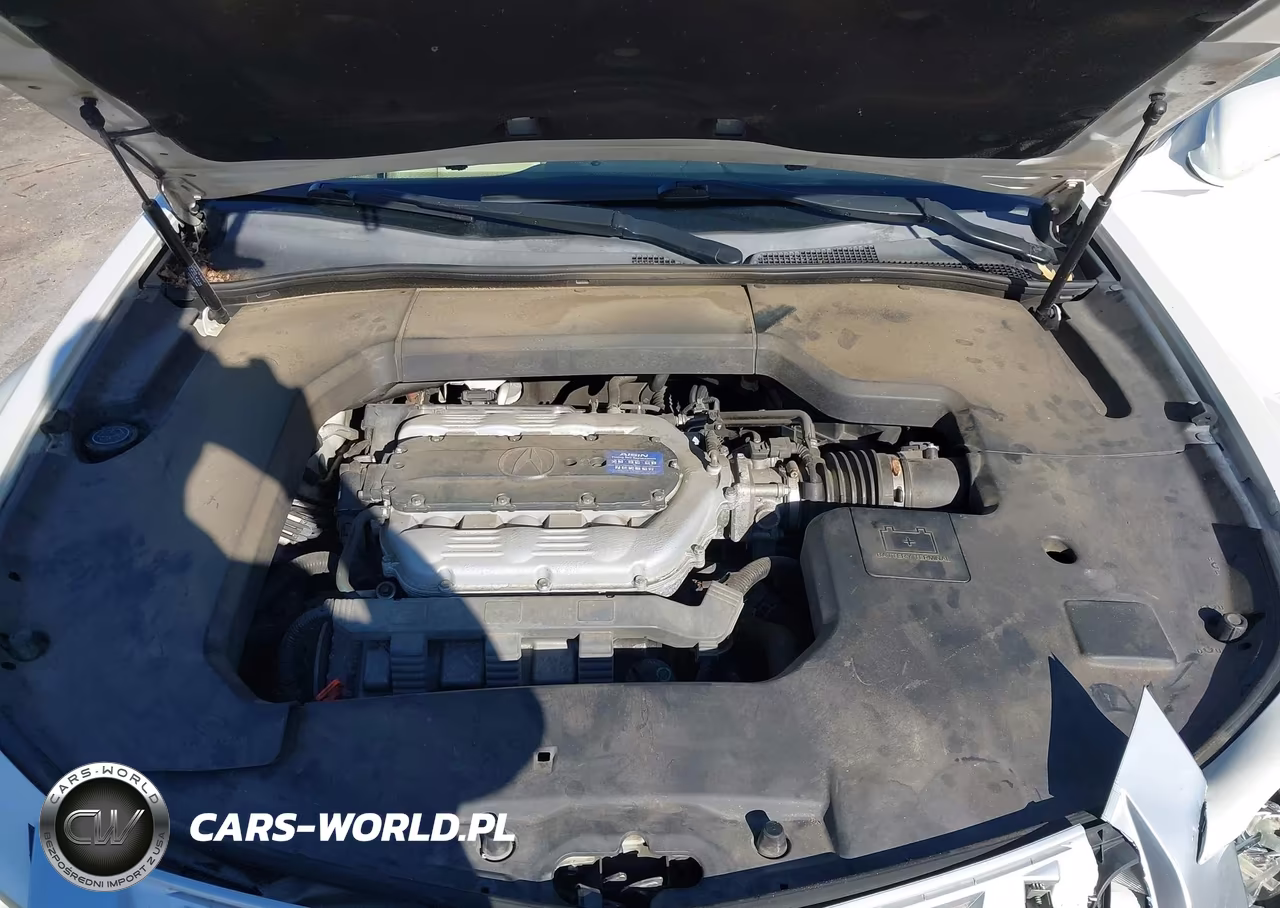 2009 Acura Tl 3.5 VIN:19UUA86229A023312 - 10