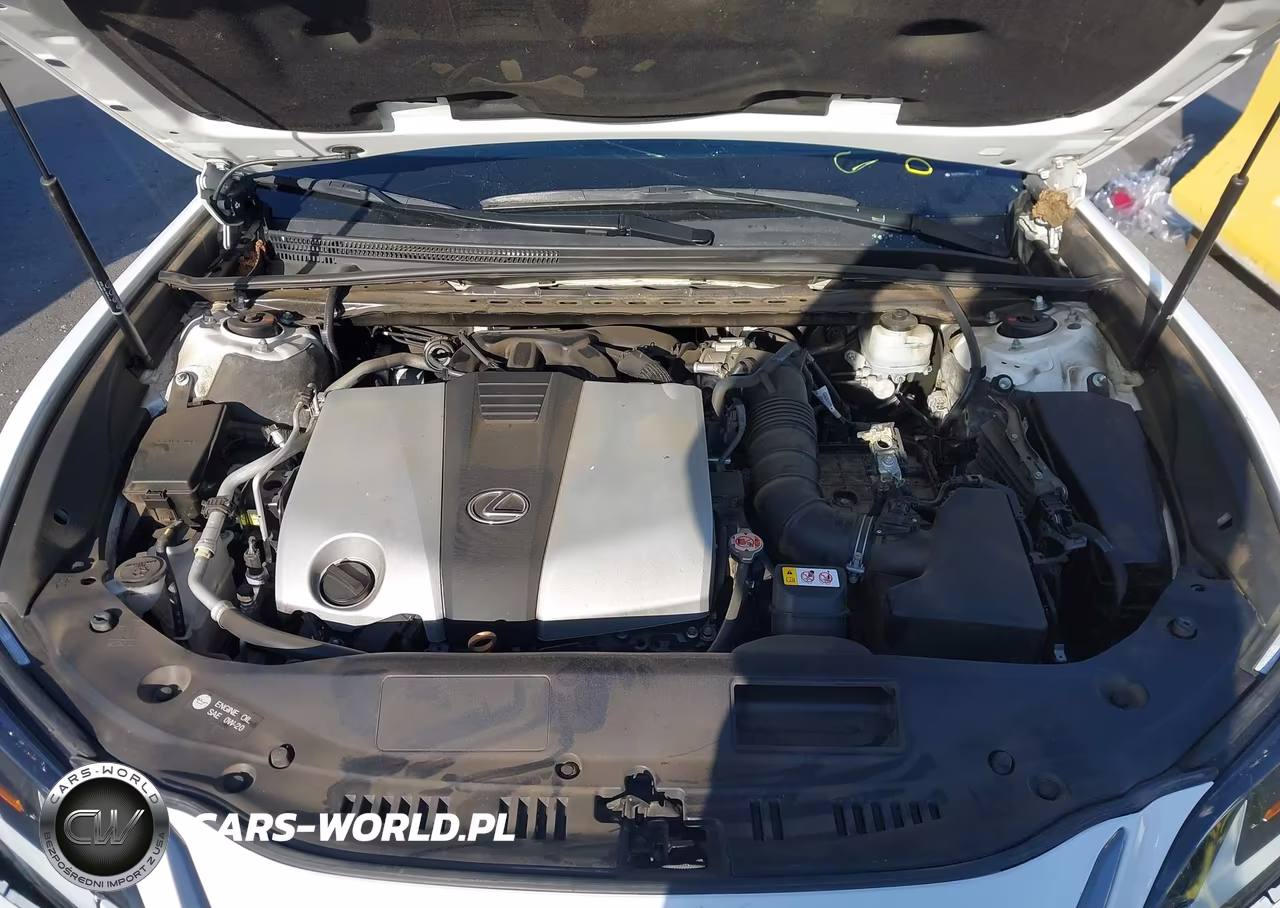 2019 Lexus Es 350 F Sport VIN:58ABZ1B11KU024706 - 10