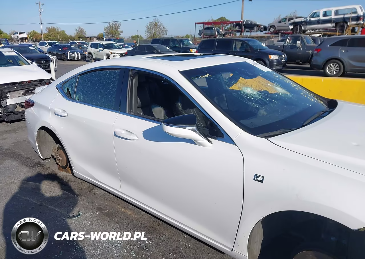 2019 Lexus Es 350 F Sport VIN:58ABZ1B11KU024706 - 12