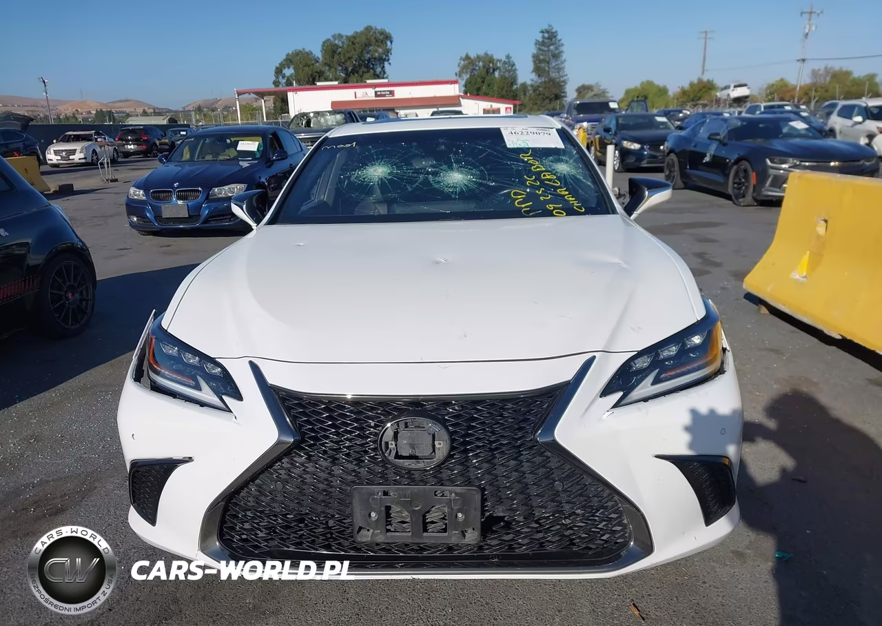 2019 Lexus Es 350 F Sport VIN:58ABZ1B11KU024706 - 14