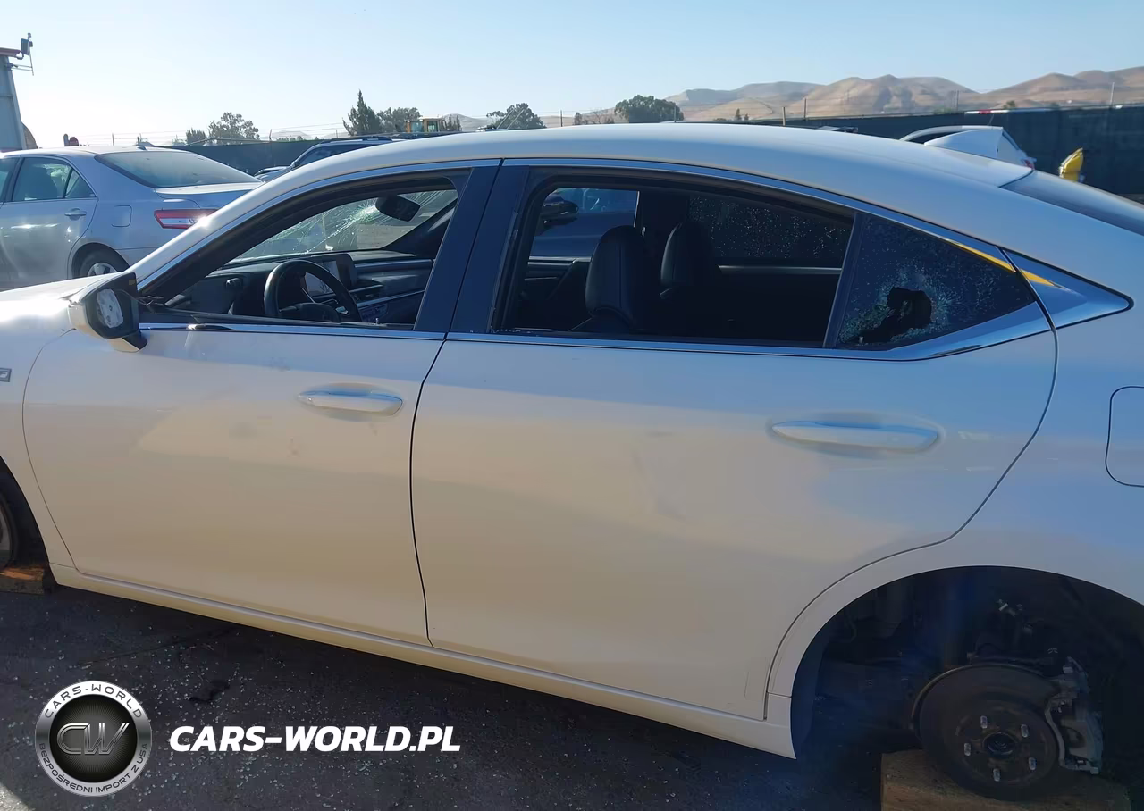 2019 Lexus Es 350 F Sport VIN:58ABZ1B11KU024706 - 16