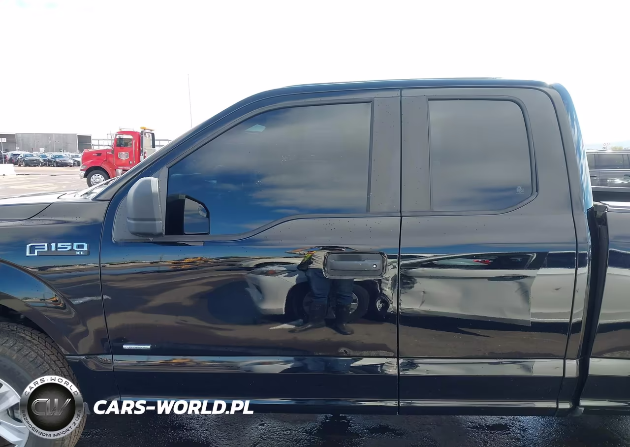 2016 Ford F-150 Xl VIN:1FTEX1CP5GKD33146 - 14