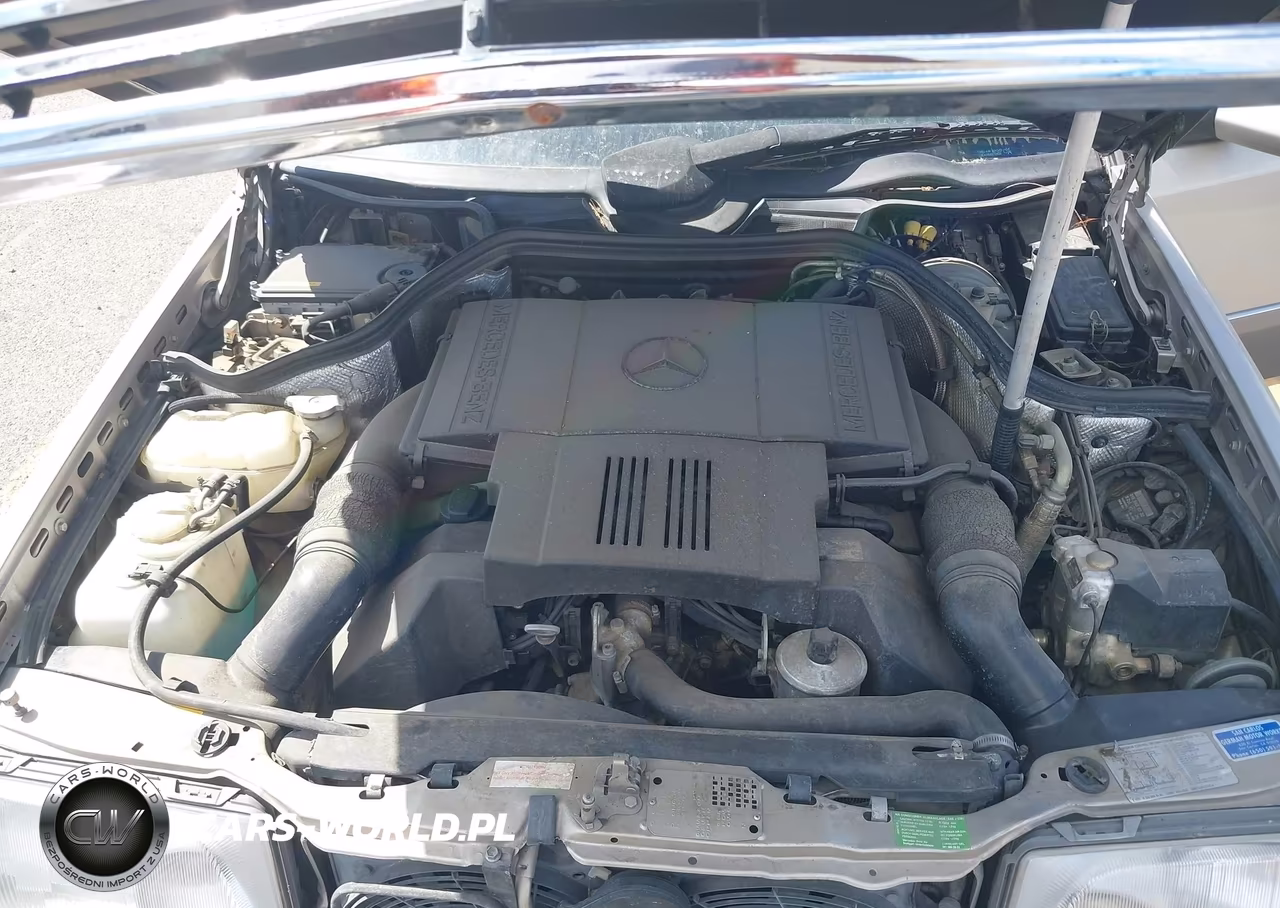 1995 Mercedes-Benz E 420 Base-420 Special VIN:WDBEA34E6SC174357 - 10