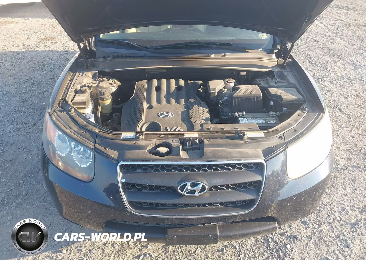 2007 Hyundai Santa Fe Gls VIN:5NMSG13D17H074997 - 10