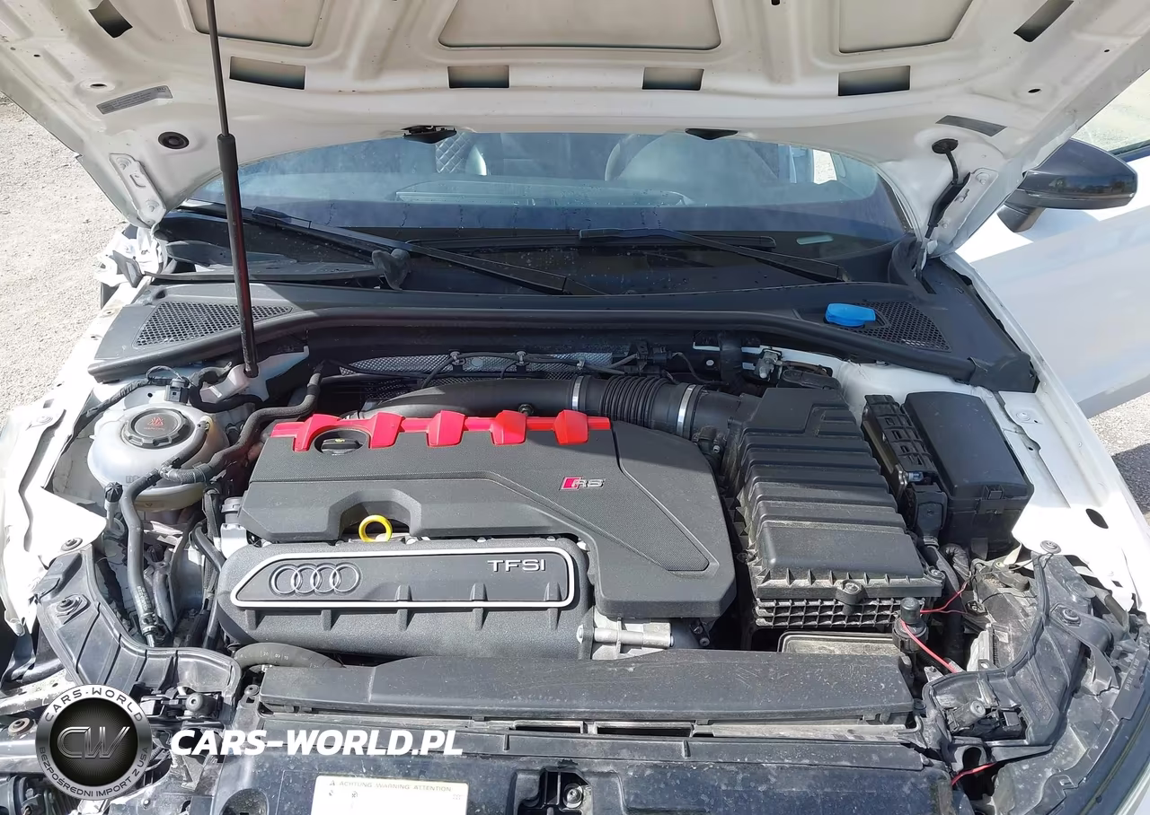 2020 Audi Rs 3 Tfsi Quattro S Tronic VIN:WUABWGFF8LA903302 - 10