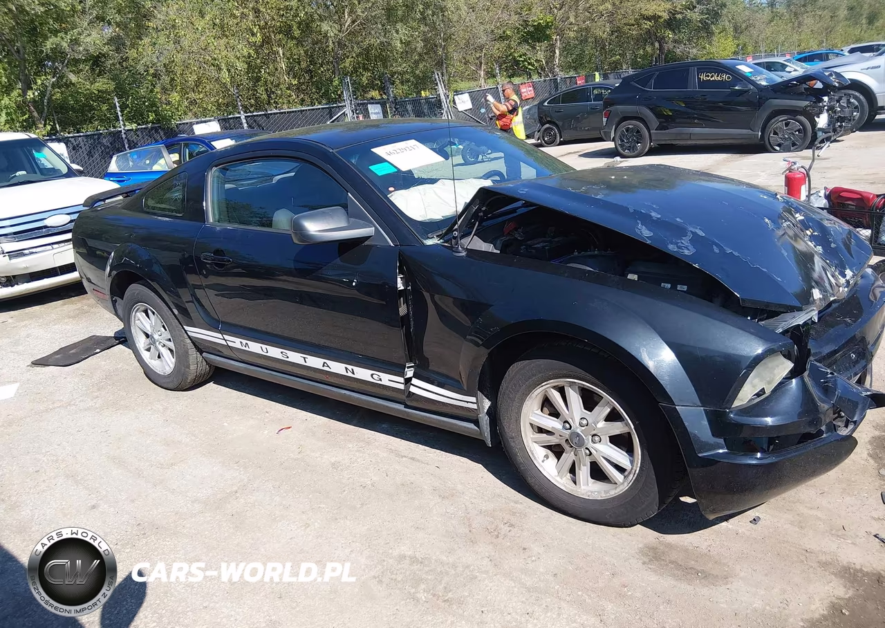 2006 Ford Mustang V6 VIN:1ZVFT80N565261368 - 14