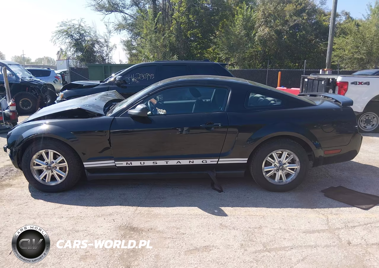 2006 Ford Mustang V6 VIN:1ZVFT80N565261368 - 15