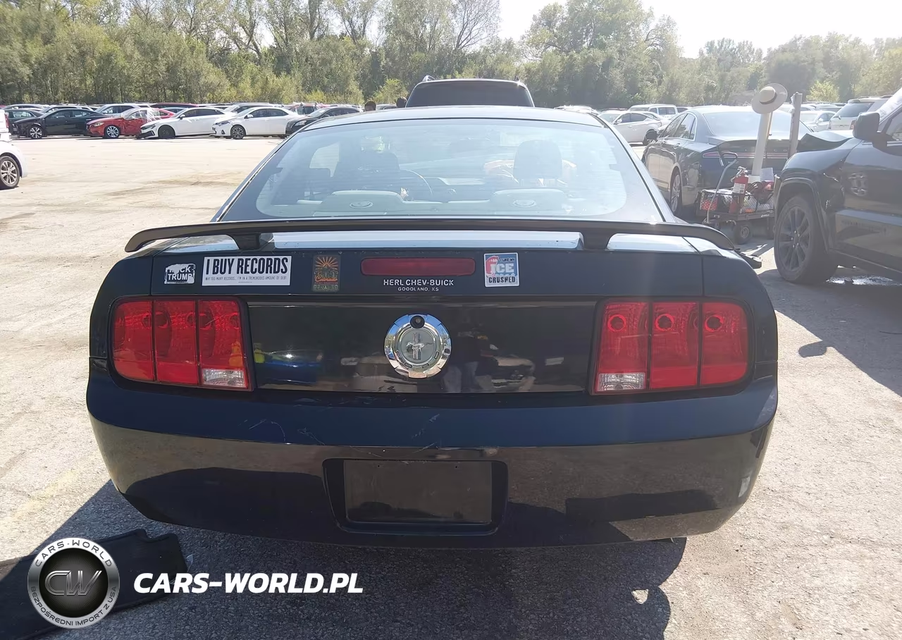 2006 Ford Mustang V6 VIN:1ZVFT80N565261368 - 17