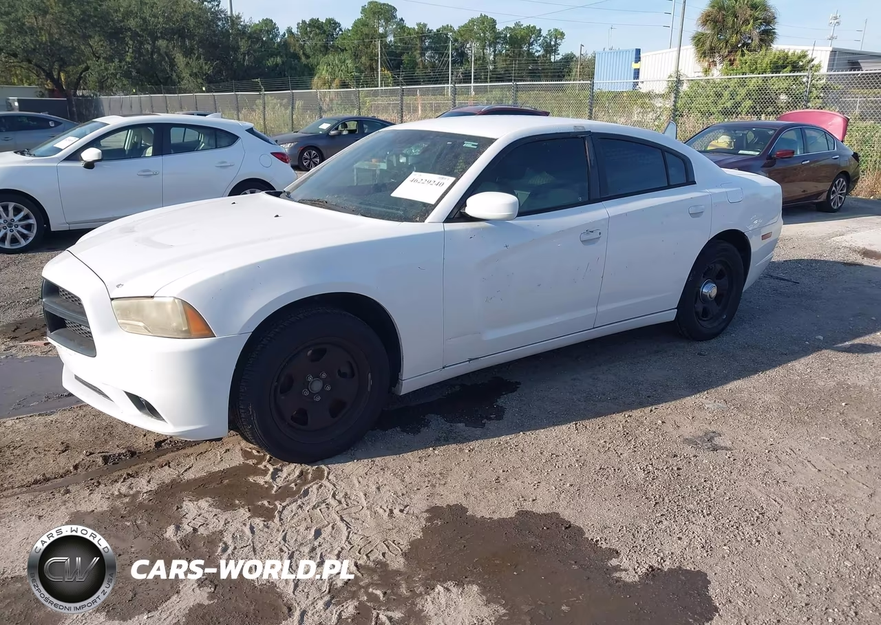 2011 Dodge Charger Police VIN:2B3CL1CT9BH545839 - 2