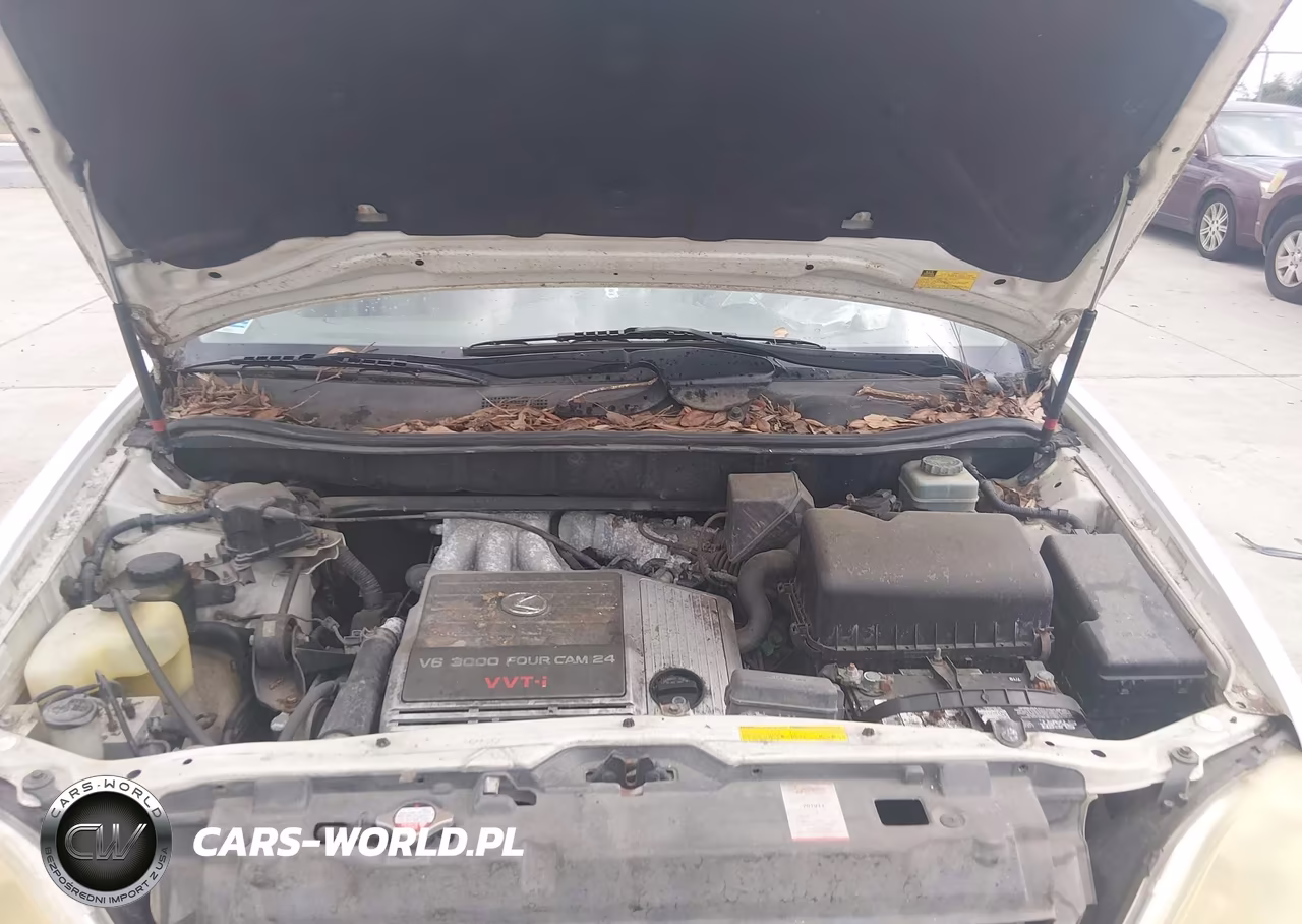 2001 Lexus Rx 300 VIN:JTJGF10U010107506 - 10