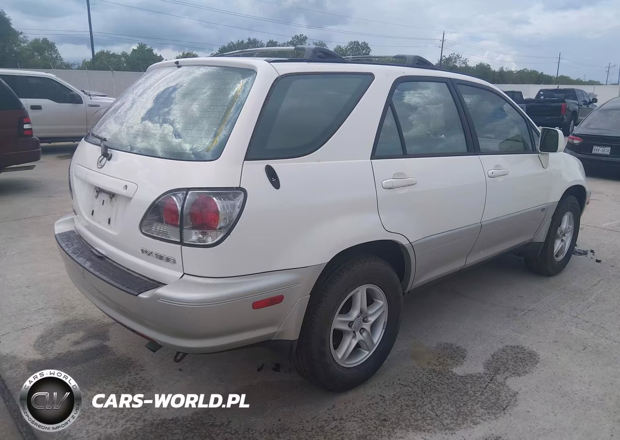 2001 Lexus Rx 300 VIN:JTJGF10U010107506 - 4
