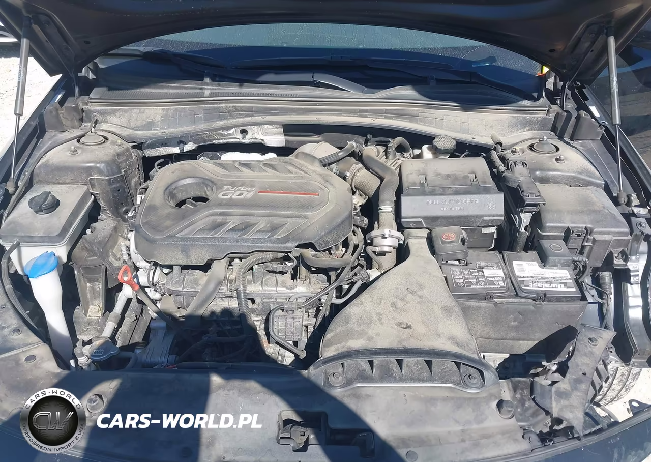 2019 Kia Optima Sx Turbo VIN:5XXGW4L23KG375304 - 10
