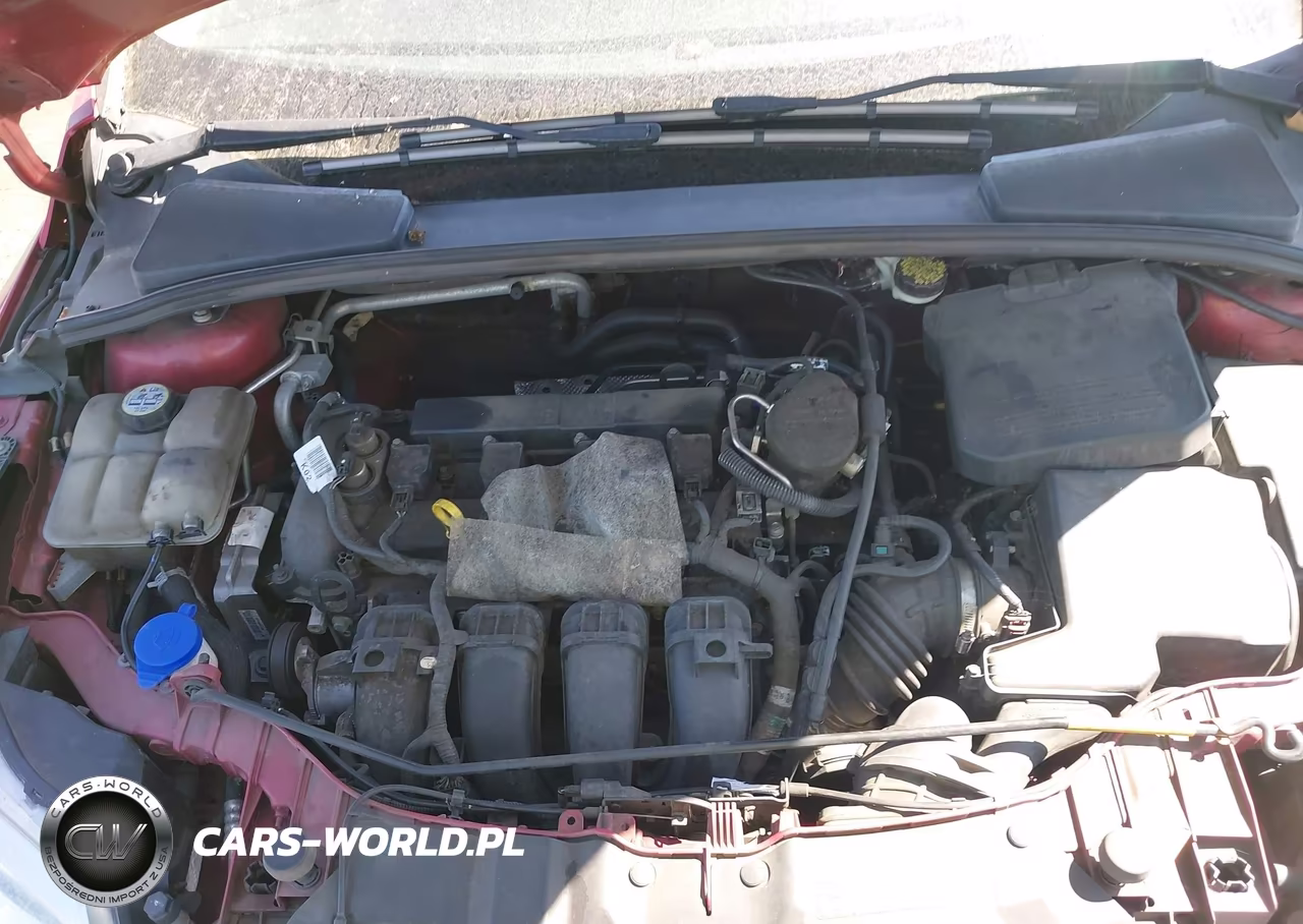 2012 Ford Focus Sel VIN:1FAHP3M20CL415744 - 10