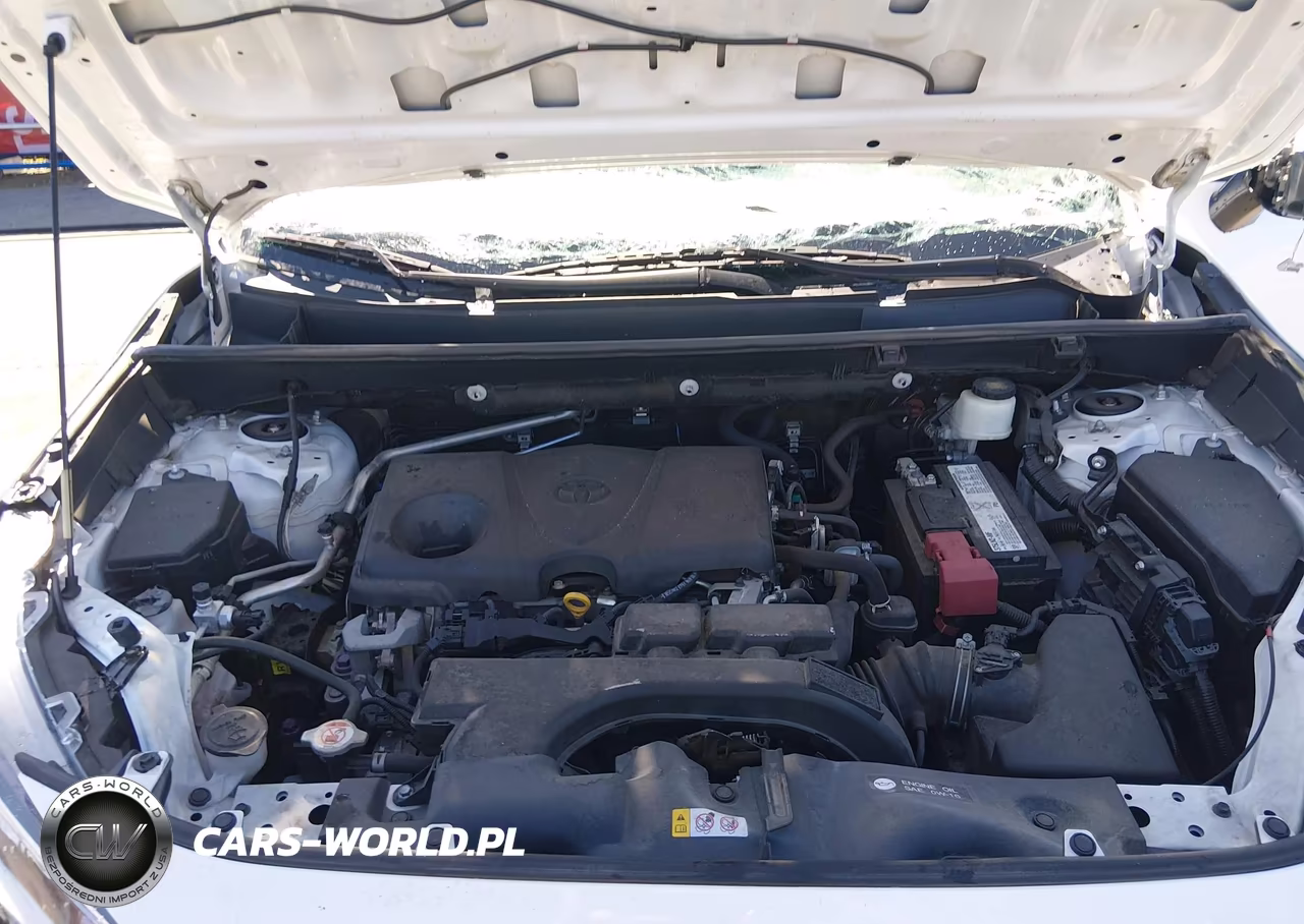 2019 Toyota Rav4 Xle Premium VIN:2T3C1RFV2KW045165 - 10