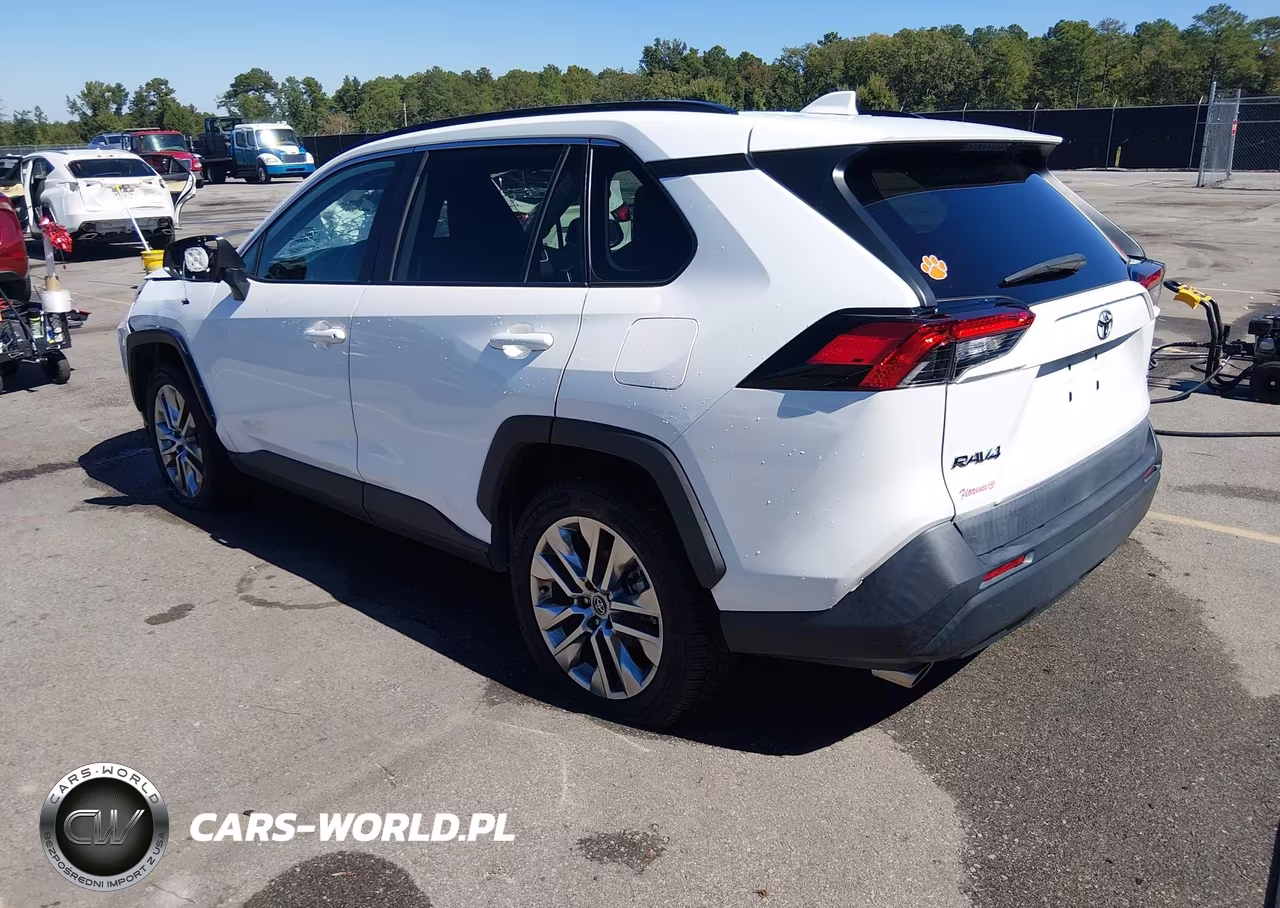 2019 Toyota Rav4 Xle Premium VIN:2T3C1RFV2KW045165 - 3