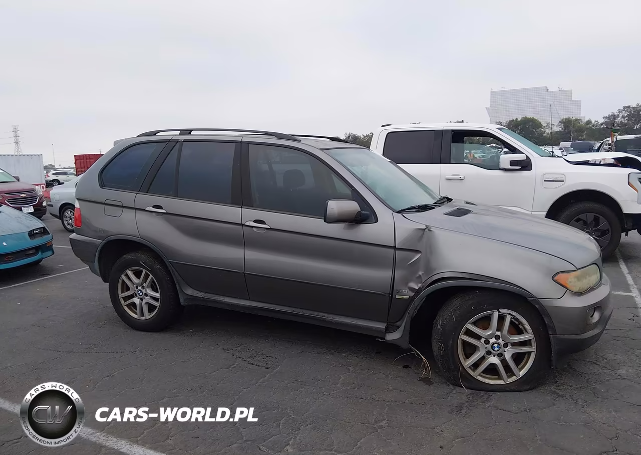 2004 BMW X5 3.0I VIN:5UXFA13544LU30637 - 12