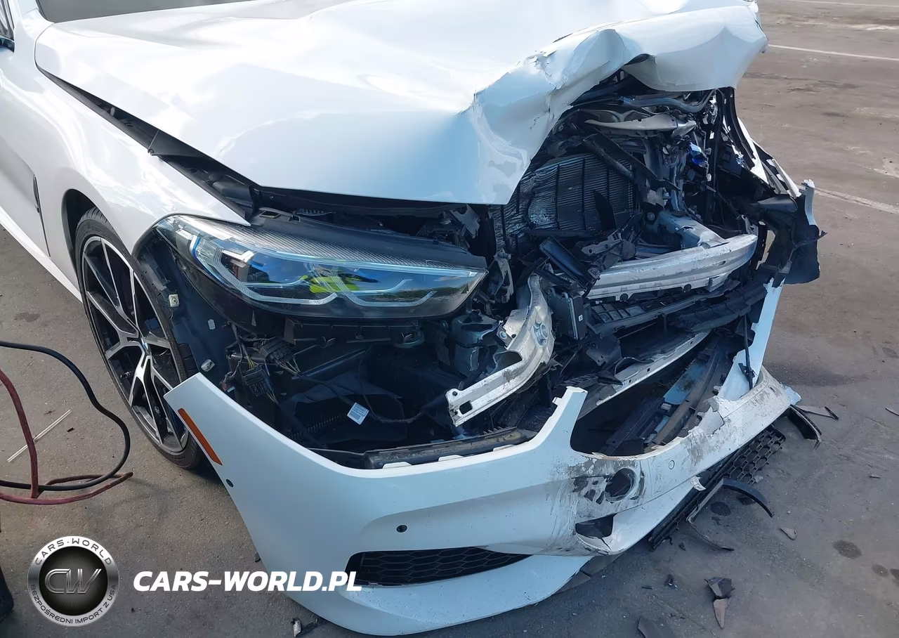 2019 BMW M850I xDrive VIN:WBAFY4C50KBJ98729 - 17