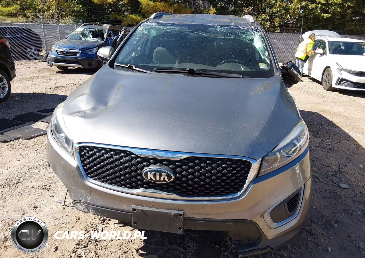 2017 Kia Sorento 3.3L Lx VIN:5XYPGDA51HG231488 - 13