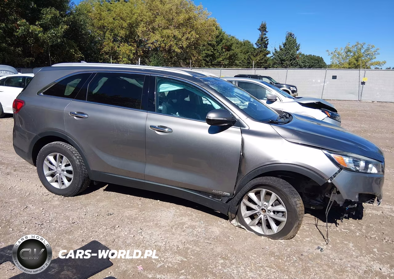2017 Kia Sorento 3.3L Lx VIN:5XYPGDA51HG231488 - 14