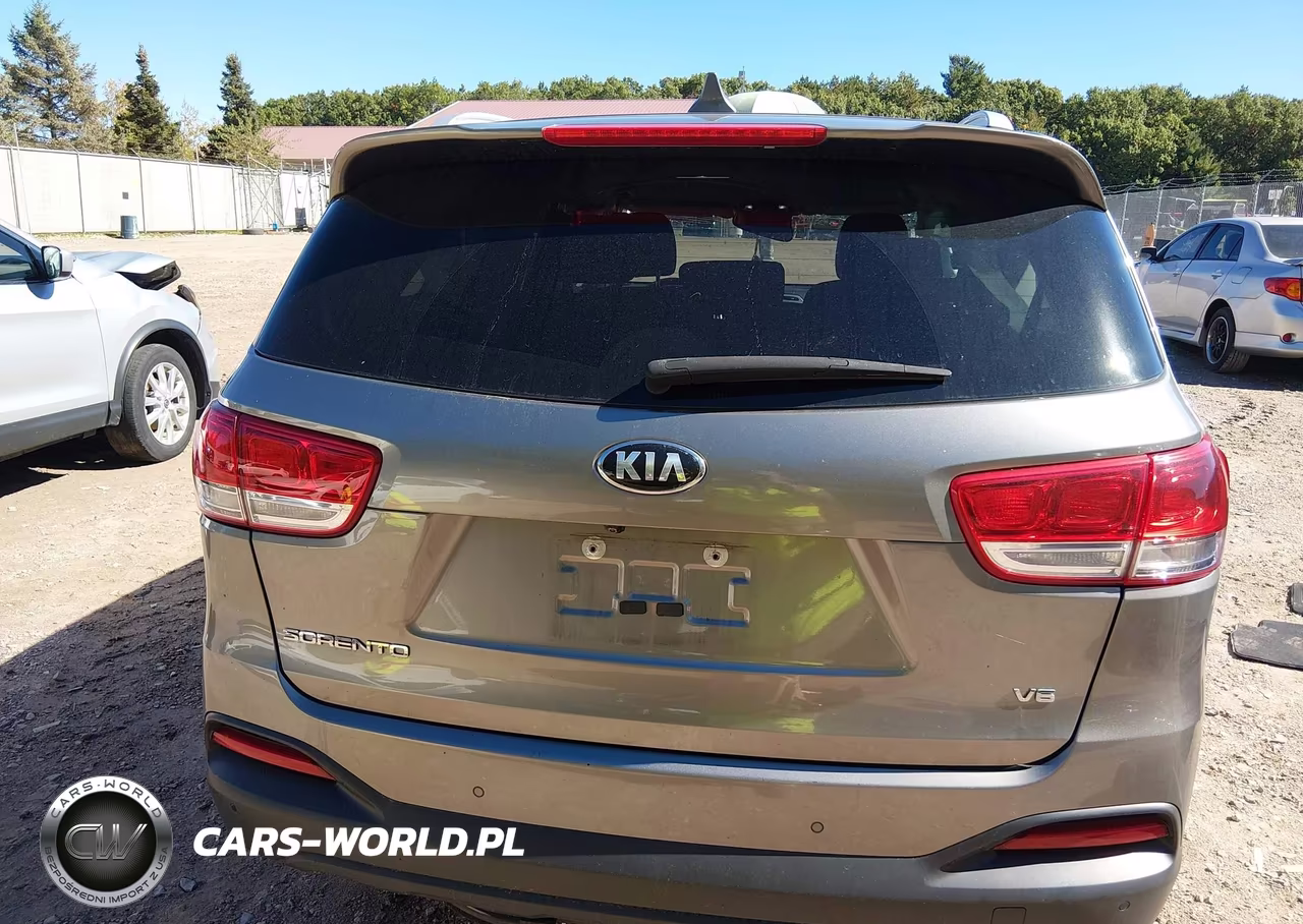 2017 Kia Sorento 3.3L Lx VIN:5XYPGDA51HG231488 - 17