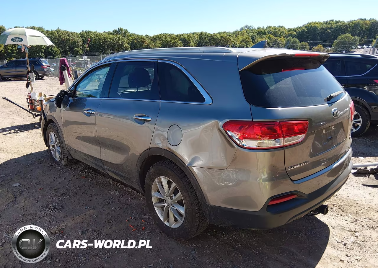 2017 Kia Sorento 3.3L Lx VIN:5XYPGDA51HG231488 - 3