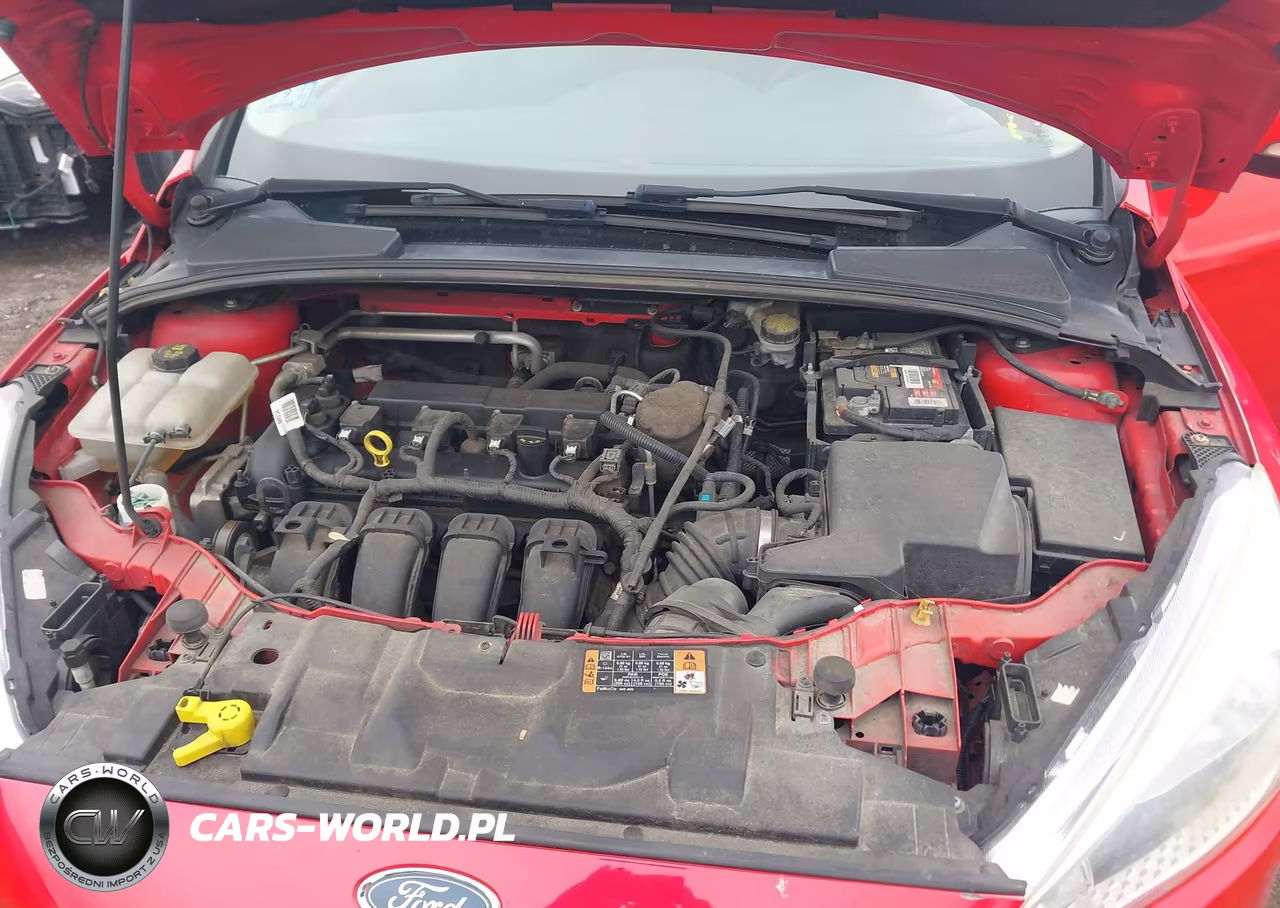 2015 Ford Focus Se VIN:1FADP3F21FL353075 - 10