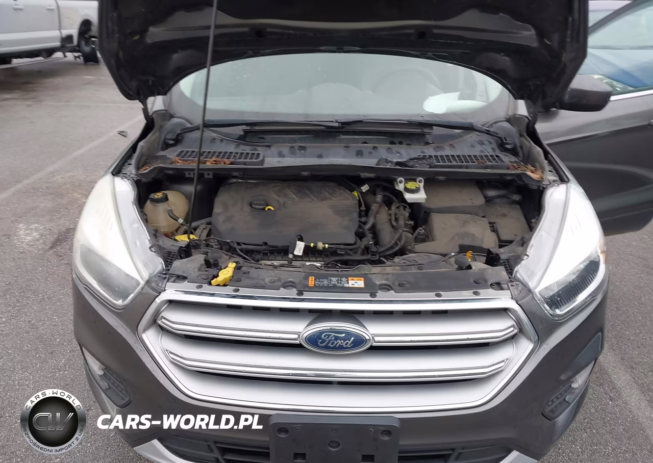 2017 Ford Escape Se VIN:1FMCU0GD6HUD52042 - 10
