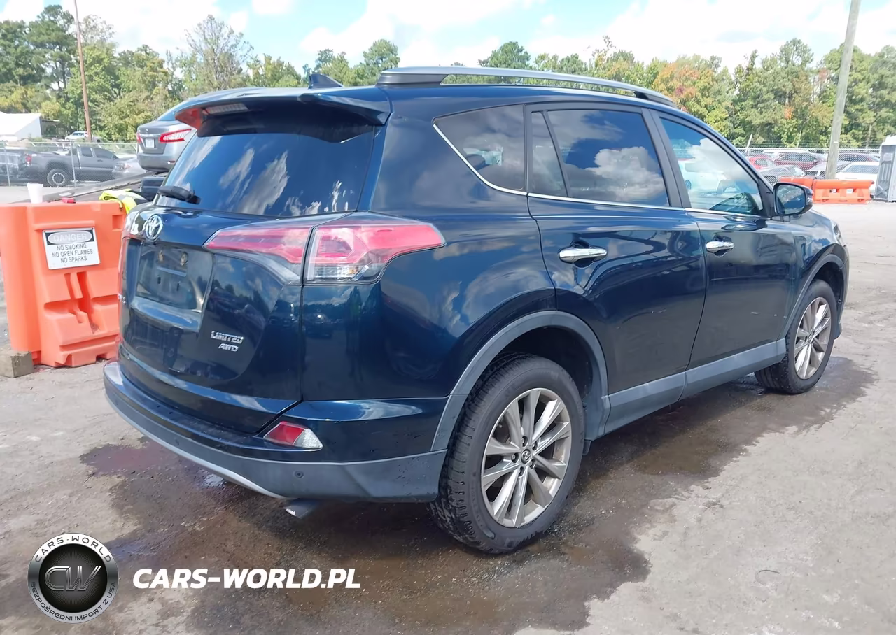 2017 Toyota Rav4 Limited VIN:2T3DFREV8HW666314 - 4