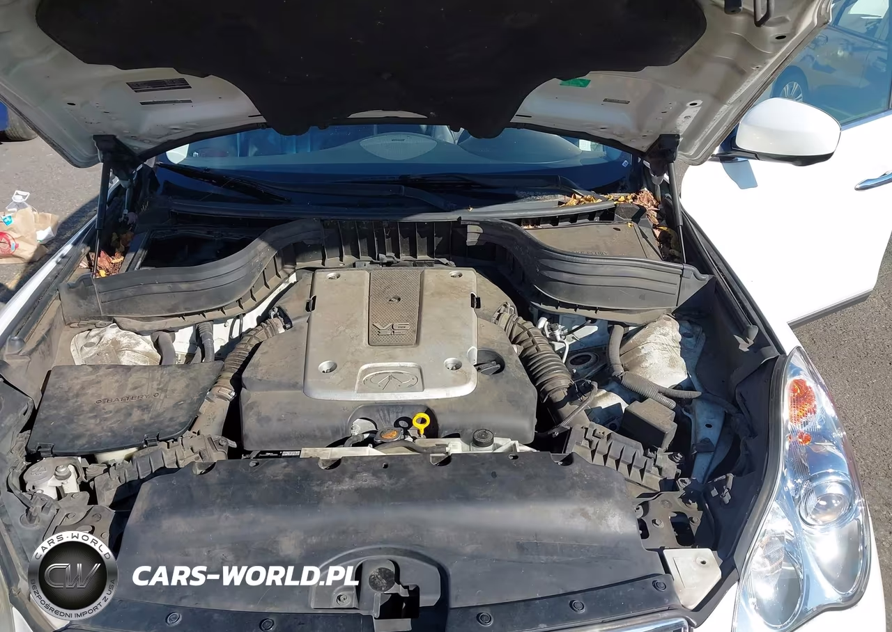 2009 Infiniti Ex35 Journey VIN:JNKAJ09F79M952216 - 10